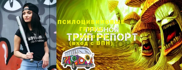 прущий лед Абаза