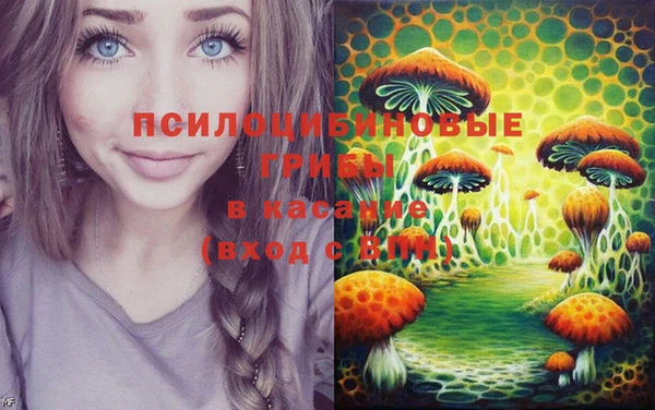 СК Покровск