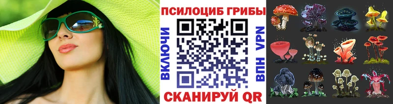 закладка  Аксай  Галлюциногенные грибы Magic Shrooms 