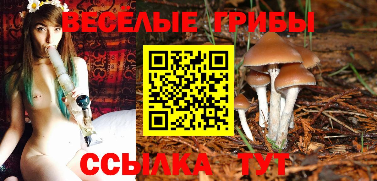 Галлюциногенные грибы Cubensis Аксай