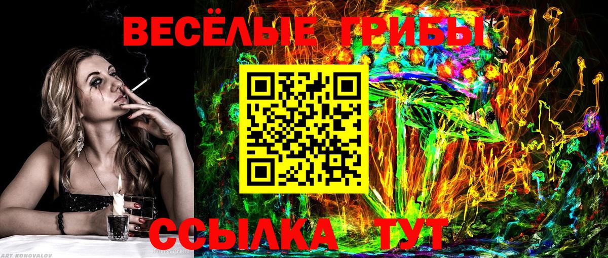 Аксай  Галлюциногенные грибы MAGIC MUSHROOMS  Вход с VPN 
